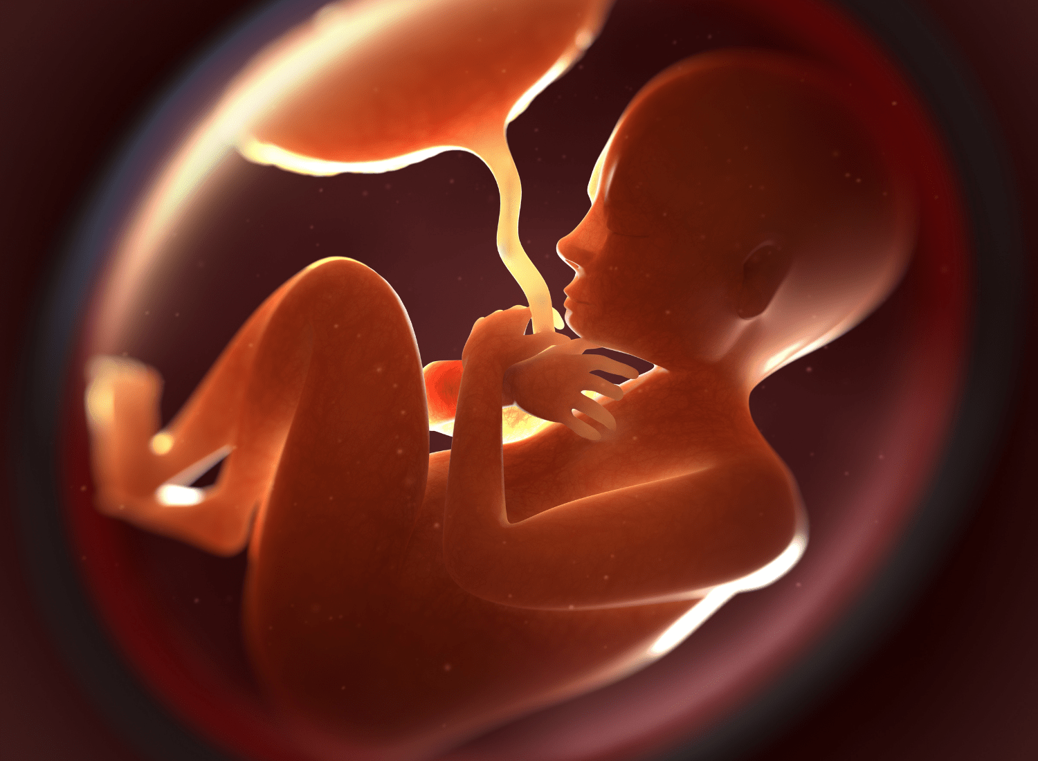 bổ sung dha trong thai kỳ giúp trẻ phát triển não bộ